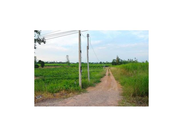 ขายที่ดิน ต.ห้วยทรายเหนือ อ.ชะอำ จ.เพชรบุรี