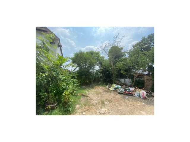 ขายที่ดินเปล่า ใน มบ.หงส์ประยูร 2  61ตรว.