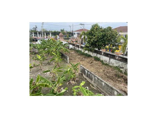 ที่ดินเปล่า แขวงหลักสอง เขตบางแค กทม.