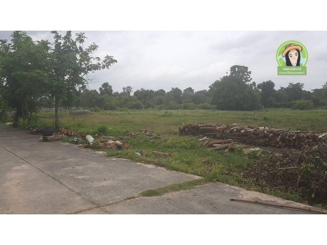 ที่ดินสร้างบ้าน 2 งาน 650,000 บ้านโชคเมือง