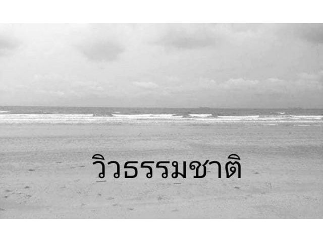 อสิงห์หาขายทรัพย์   ที่ติดทะเล ชุมพร 264วา