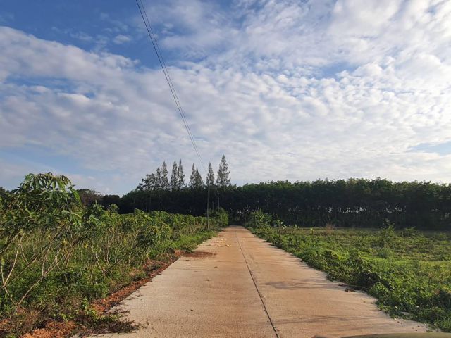 ขายที่ดินสีม่วงลาย 1.5 ไร่ ติดถนนคอนกรีต ใกล้นิคมเกตเวย์ แปลงยาว ทำโรงงาน ราคาถูก ฉะเชิงเทรา