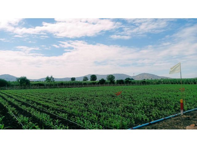 ที่ดินวิวเขาสวย อ.อู่ทอง (สด-ผ่อน) บรรยากาศดีอากาศสดชื่นเหมาะสร้างบ้านสวนเกษตรยามเกษียณ