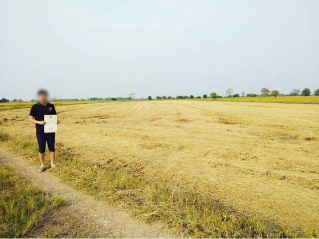 ขายที่ดิน สระบุรี อ.ดอนพุด ต.ไผ่หลิ่ว