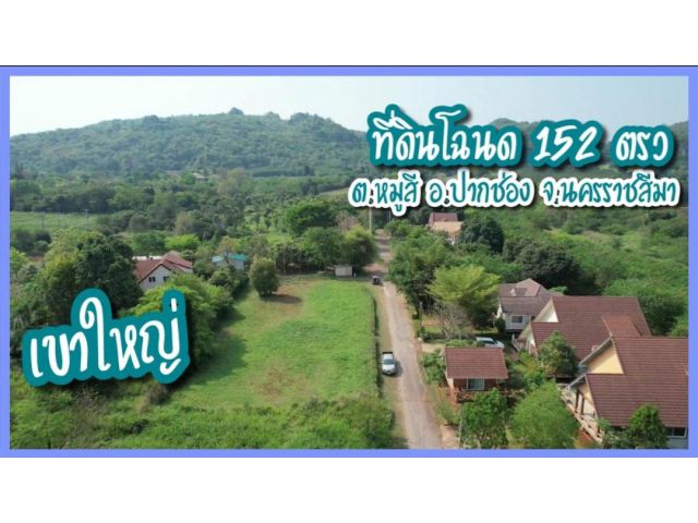 ขายที่ดินเขาใหญ่ ใกล้ไฟแดงหมูสี 152 ตรว บ้านมันตารีสอร์ท