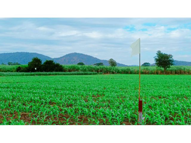 ที่ดินวิวเขาสวย อ.อู่ทอง (สด-ผ่อน) บรรยากาศดีอากาศสดชื่นเหมาะสร้างบ้านสวนเกษตรยามเกษียณ