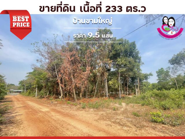 ขายที่ดิน ห่างจากถนนทุ่งหลวงเพียง  50เมตร ใกล้️อนามัยขามใหญ่