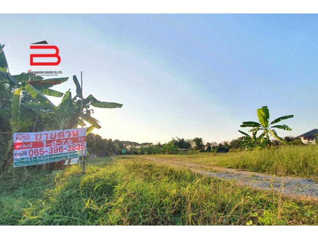 ที่ดินถมแล้ว ซอยกันตนา เนื้อที่ 407.5 ตรว. ถนนกาญจนาภิเษก อ.บางใหญ่ จ.นนทบุรี