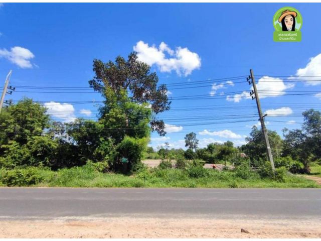 ที่ดินเปล่าติดถนนอรุณประเสริฐ ป่าติ้ว