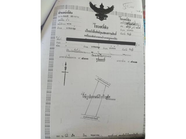 ขายที่นา 11-1-94 ไร่ ต.นาหนองทุ่ม อ.แก้งคร้อ จ.ชัยภูมิ