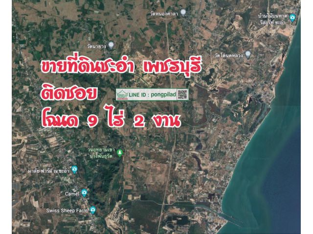 > ขายที่ดินชะอำ ติดซอย 9 ไร่ 2 งาน
