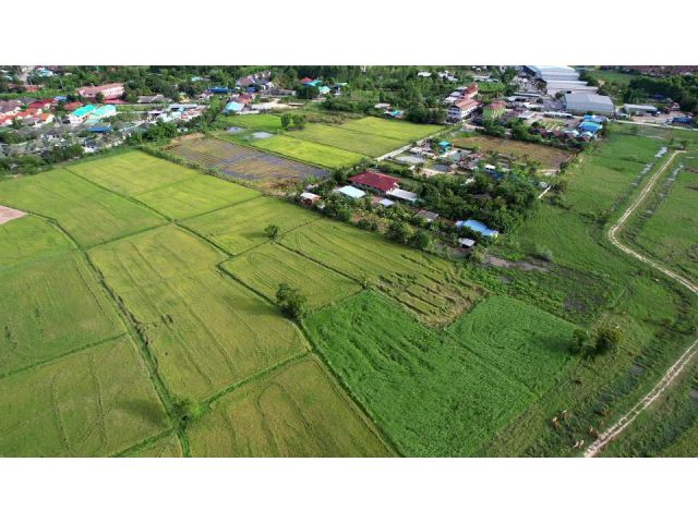 ขายที่นาศรีราชา 4 ไร่ หลังเครือสหพัฒน์ ติดถ.คอนกรีต ใกล้ท่าเรือแหลมฉบัง - 8 กม. ชลบุรี