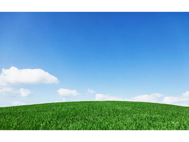 ขายแล้ว