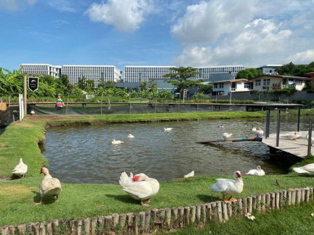 ขายคอนโด 1 นอน Blocs77 อ่อนนุช หรูหราใหญ่โต โครงการของ Sansiri