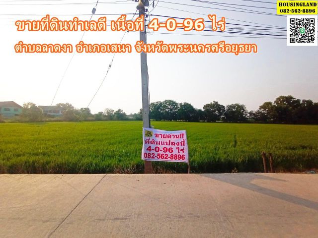 ขายด่วน ที่ดินเหมาะทำการเกษตร ปลูกที่บ้านพักอาศัย ตำบลลาดงา อำเภอเสนา จังหวัดพระนครศรีอยุธยา