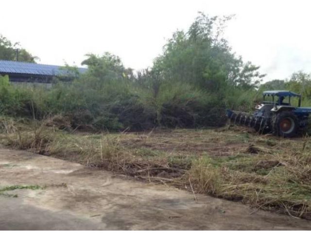ขายที่ดิน 100 ตร.วา ใกล้เจปาร์ค ห่างถนนไร่กล้วย1km
