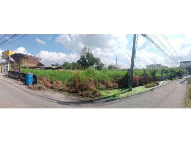 ที่ดินราคาถูก 100ตร.ว ติดถนน 2ฝั่ง ใกล้เจปาร์ค