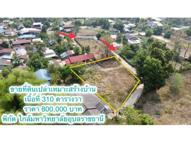 ที่ดินเปล่าใกล้ มหาวิทยาลัยอุบล เนื้อที่ 310 ตรว.เหมาะปลูกบ้าน ที่สวย เพียง 800,000 เท่านั้น