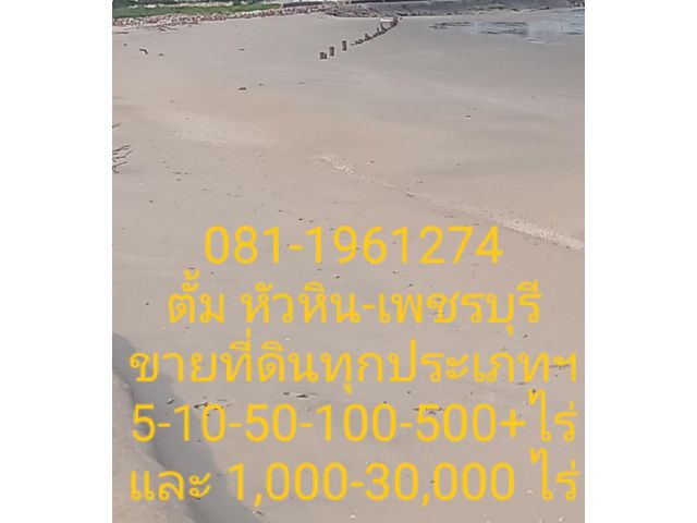 ขายที่ดินโฉนด 35 ไร่  ติดทะเล หาดทรายสวย ใก้ล โรงแรม รีสอร์ท ร้านอาหาร