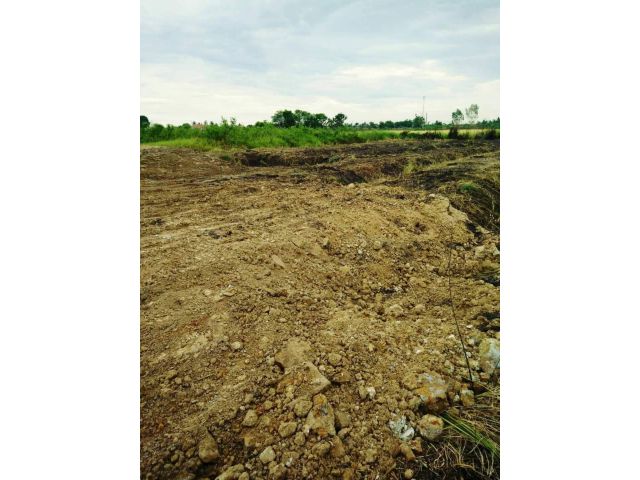 ขายที่ดินแบ่งขายหนองจอก 63 ตรว. ซอยสุวินทวงศ์ 96/2 ใกล้ถนนสุวินทวงศ์ 304 - 500 เมตร เจียระดับ