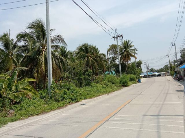 PK160 ขายที่ดินอนามัยงามเจริญ 25 แยก 2-4-2 ท่าข้าม เขตบางขุนเทียน กรุงเทพมหานคร