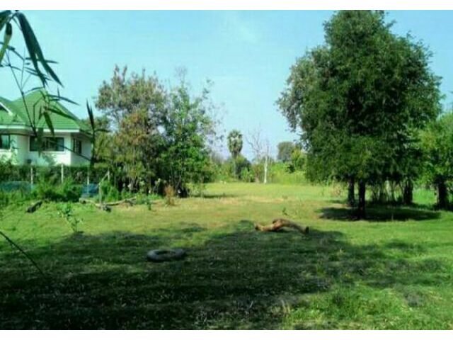 ขายที่ดิน ใกล้อนุสาวรีย์ท้าวสุรนารี ถนนเพชรมาตุคลา อำเภอเฉลิมพระเกียรติ นครราชสีมา