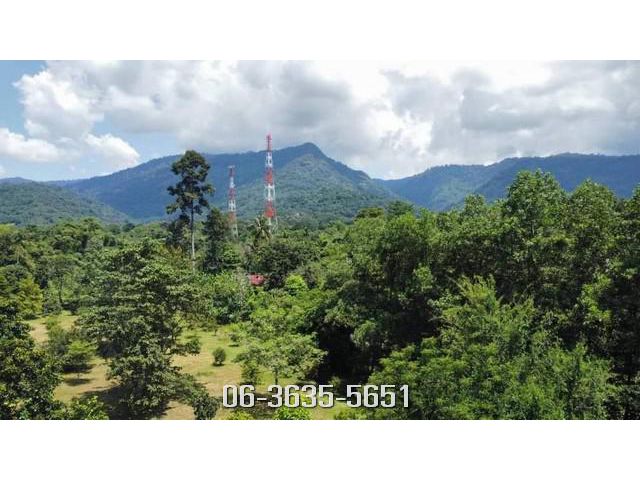 ขาย ที่สวนผสมวิวเขา 4 ไร่ ต.สาริกา อ.เมืองนครนายก