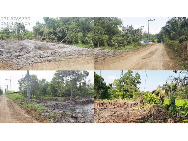 ขายด่วน! ขายที่ดินคลอง12 หนองเสือ ธัญบุรี ปทุมธานี 200ตรว เหมาะปลูกบ้านทำสวน