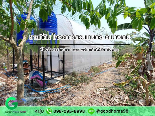 ที่ดินบางเลน ที่ดินสวยน้ำไฟพร้อม หน้าแปลงติดถนนคอนกรีต เหมาะสร้างบ้าน ทำสวน ใกล้คลองประปามหาสวัสดิ์