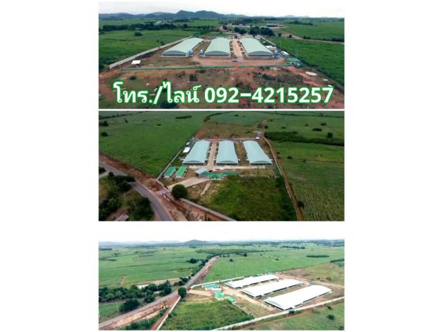 ขายฟาร์มเลี้ยงเป็ด อ.โพธาราม จ.ราชบุรี