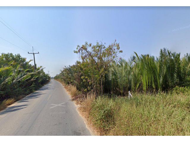 ขายที่ดินบางผึ้ง บางปะกง 10 ไร่ ติดถนนลาดยาง 2 ด้าน ใกล้ถนนมอเตอร์เวย์ 7 - 8 กม. ฉะเชิงเทรา