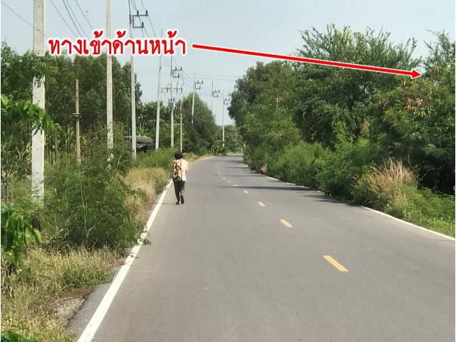 ขายที่ดินแปลงเกษตร ซอยวัดบัวหวั่น จ. นครปฐม