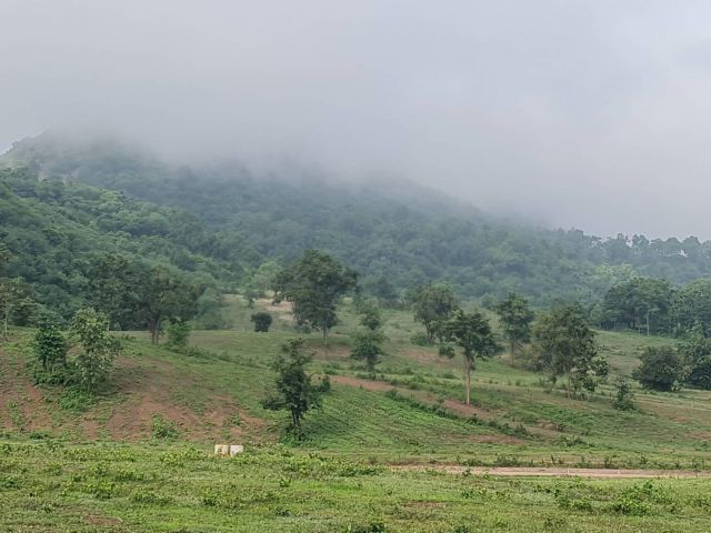 ขายที่ดินเขาใหญ่ติดเขา 89ไร่ หนองตะกู ขนงพระ ที่สูงภูเขาล้อมรอบ สูงจากระดับน้ำ 450ม. อยู่เส้น 2235 หนองสาหร่าย ใกล้ Jupi