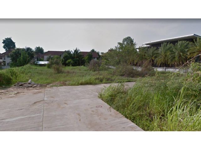 ขายที่ดินเปล่า 310 ตรว. บ้านยวม ถ.สันกำแพงสายใหม่