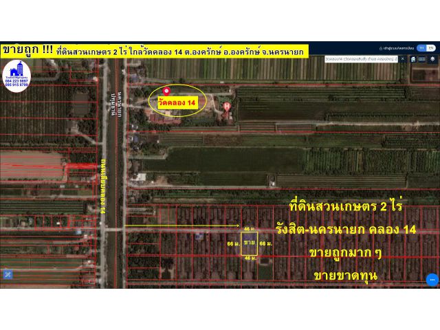 ร้อนเงิน..รีบขาย..ที่ดินคลอง 14 ต.องครักษ์ เนื้อที่ 2 ไร่ ตรว.ละ 2,000 บ. ซื้อสด ลดได้อีก