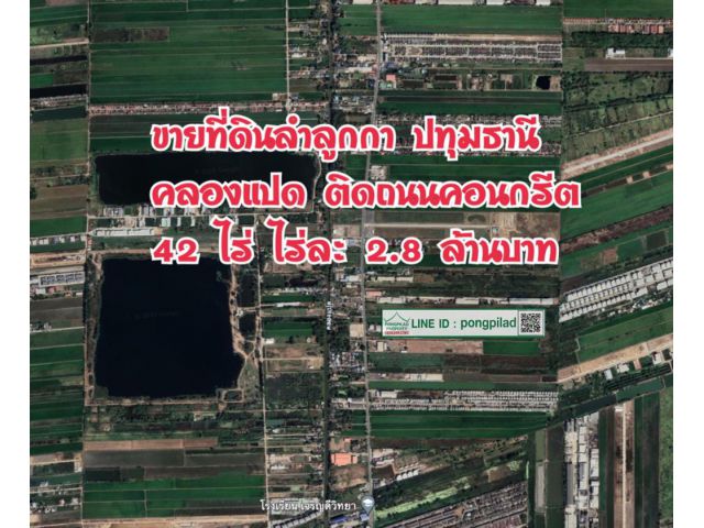 > ขายที่ดินลำลูกกา คลองแปด ปทุมธานี ติดถนนคอนกรีต 42 ไร่
