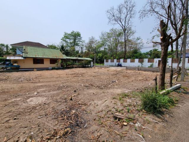 ขายที่ดินแม่ริม ใกล้สถานพินิจ เนื้อที่ 103.8 ตร.ว.วาละ 18,000