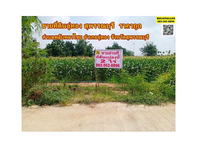 ขายที่ดิน2 ไร่ ตำบลพลับพลาไชย อำเภออู่ทอง จังหวัดสุพรรณบุรี