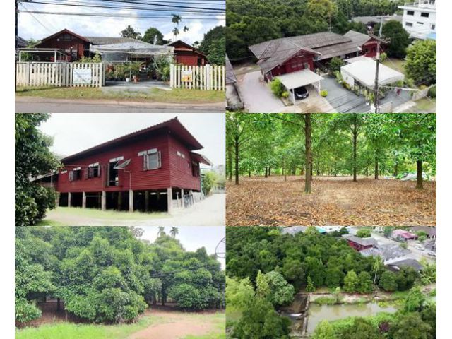 เสนอขายบ้านสวนพร้อมอยู่ ทำเลดีมาก ติดถนนลาดยาง & ฝายกั้นน้ำไหลเป็นคลองธรรมชาติ เนื้อที่ 4 ไร่กว่าๆ พิกัดเกวียนหัก อำเภอข