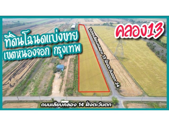 ขายที่ดินโฉนด แบ่งได้ 1ไร่ 2งาน ที่ดินคลอง13 หนองจอก กรุงเทพ แบ่งขายได้ ใกล้วัดใหม่เจริญราษฎร์