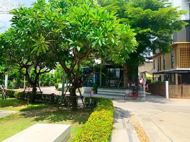 เซนทรัลพระราม3 4ชั้น ก.5.5ม สาธุ-จันทน์ ช่องนนทรี