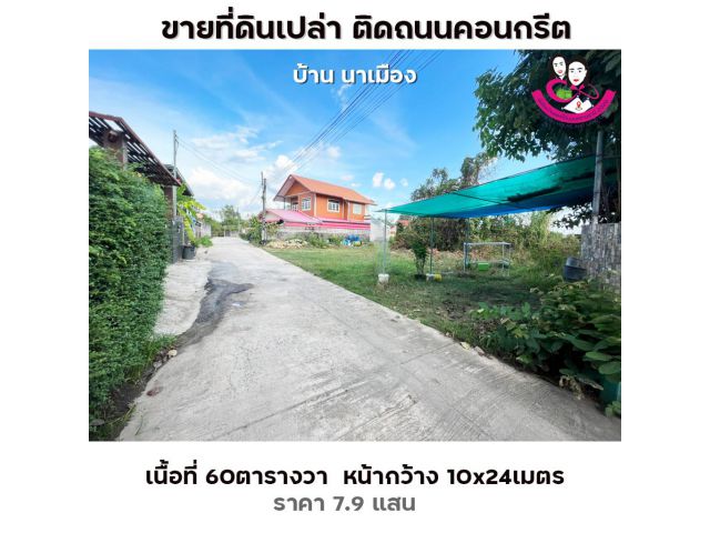 ขายที่ดินเปล่า ติดถนนคอนกรีต บ้านนาเมือง เนื้อที่ 60ตารางวา