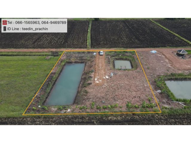 ️ขายที่ทำบ้านสวน ที่โคกหนองนา  แปลงเล็กๆ  เนื้อที่ 3 งาน 64.6 ตรว. ราคายกแปลง 450,000  บาท