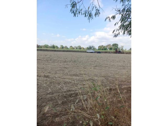 ขายด่วนๆๆที่กบินทร์บุรี 17ไร่95ตรว.เหมา3ล้าน ต.เมืองเก่า อ.กบินทร์บุรี จ.ปราจีนบุรี