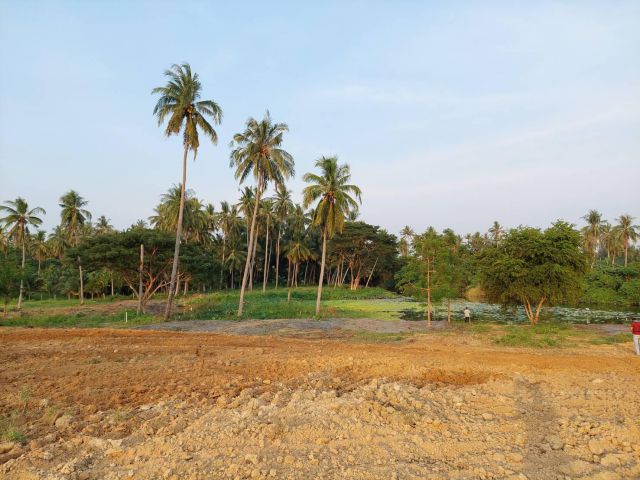 ที่ดินอ่าวน้อย เมืองประจวบ