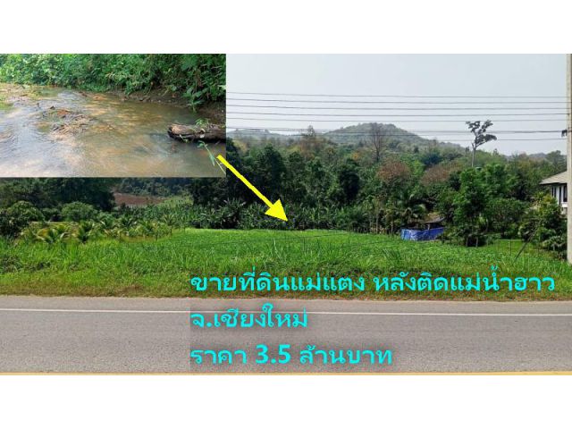 ขายที่ดินแม่แตง หลังติดแม่น้ำฮาว หน้าติดถนนหลวง เนื้อที่ 1-3-22 ไร่