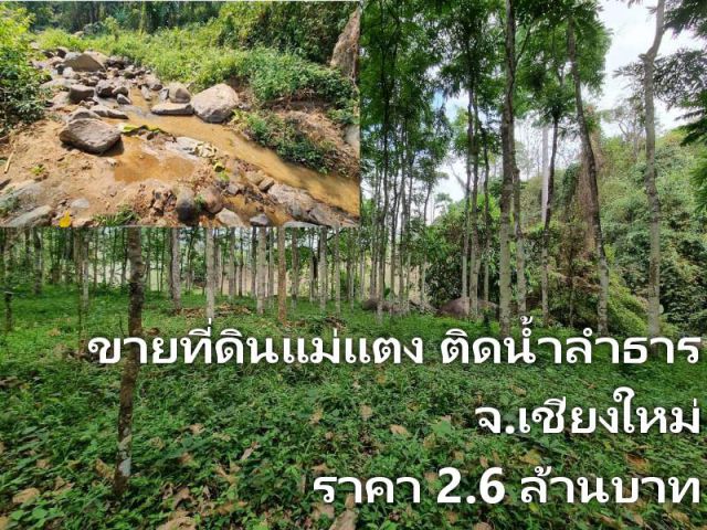 ขายที่ดินแม่แตง ติดน้ำลำธารไหลมาจากน้ำตกหมอกฟ้า เนื้อที่ 1-0-34 ไร่