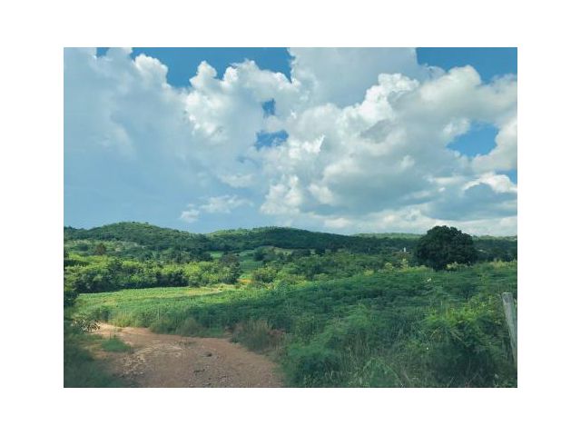 ขายที่ดิน 30 ไร่ บ้านหนองตะกู อ.ปากช่อง ใกล้เขาใหญ่วิวเขาสวย