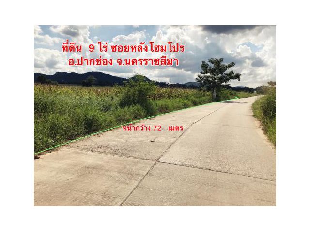 ขายที่ดิน 9 ไร่ หลังโฮมโปรปากช่อง จ.นครราชสีมา ถนนธนะรัชต์ กม.1