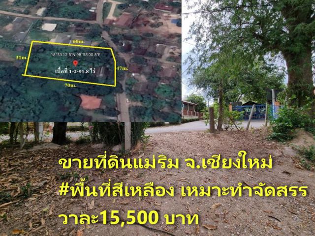 ขายที่ดินแม่ริม ใกล้แยกดอนแก้ว เนื้อที่ 1-2-91.8 ไร่ ขายถูกกว่าราคาตลาด #พื้นที่สีเหลือง เหมาะทำจัดสรร สร้างบ้านขาย หอพั